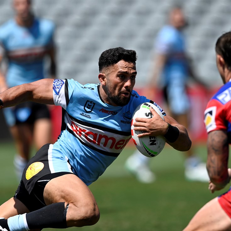 Sharks go down to Knights in opening trial