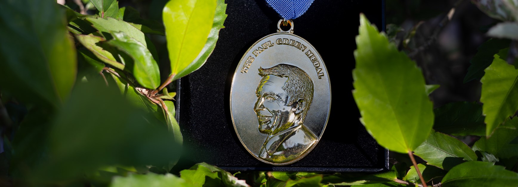 Paul Green Medal on the line in Sharks-Cowboys clash