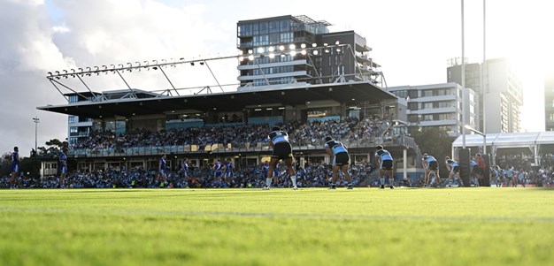 Sharks Terrace