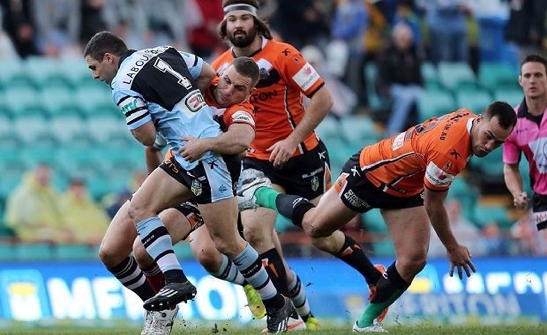 Digital Image Grant Trouville  Â© nrlphotos.com : Michael Gordon attacks   : NRL Rugby League Round 26 - Wests Tigers v Cronulla sharks at Leichhardt Oval Sunday the 6th of September 2014.