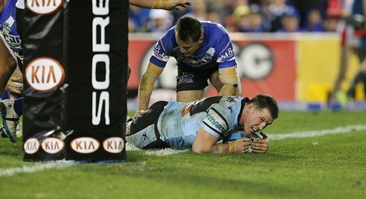 Sharks Celebrate after Gallen scores  :Digital Image Grant Trouville Â© NRLphotos  : NRL Rugby League - Round 20 - Bulldogs v Cronulla Sharks at Belmore Oval Sportsground Sunday the 26th of July  2015.