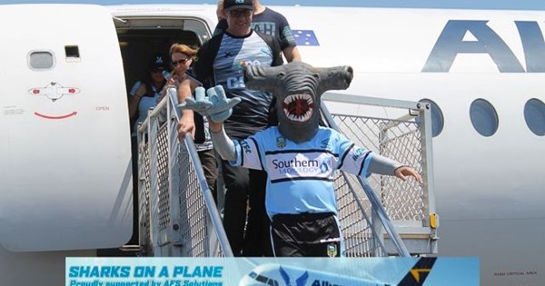 GALLERY | Sharks on a Plane | Sharks