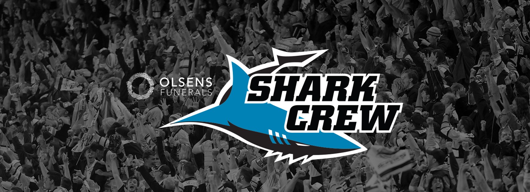 Join the Olsens Shark Crew in 2018