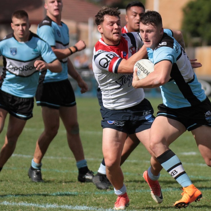 Young Sharks earn rep honours
