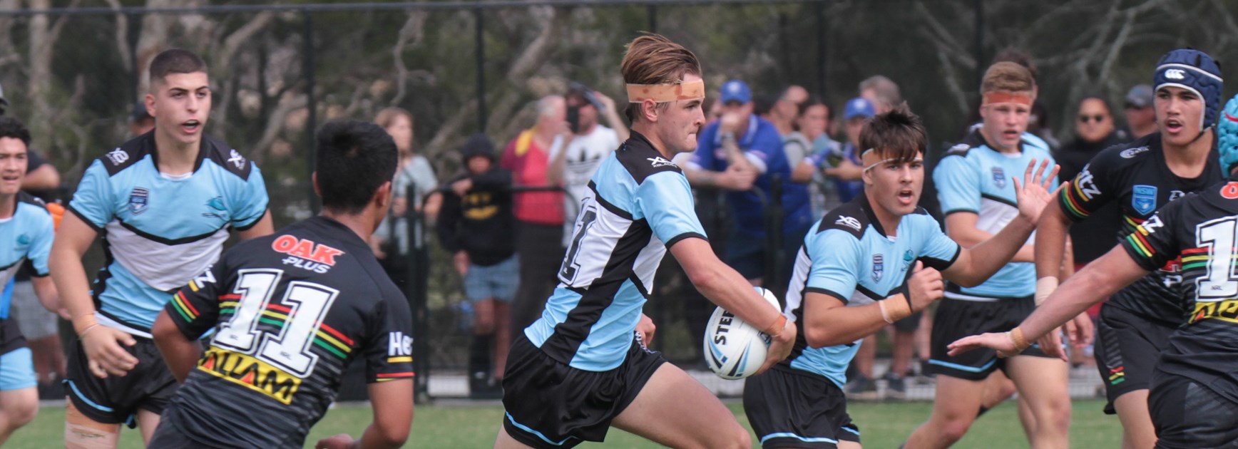 Panthers end season for Matts Cup Sharks