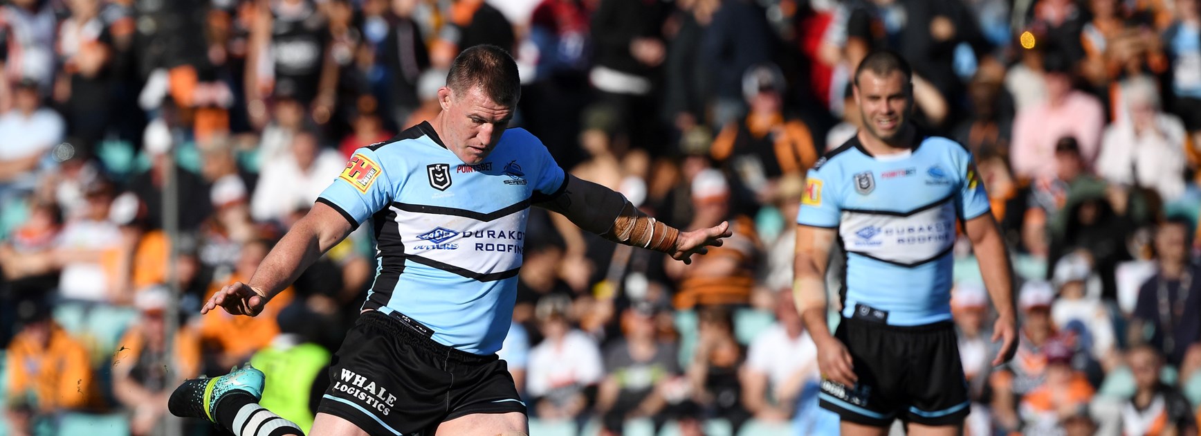 Sharks take down the Tigers in do-or-die clash