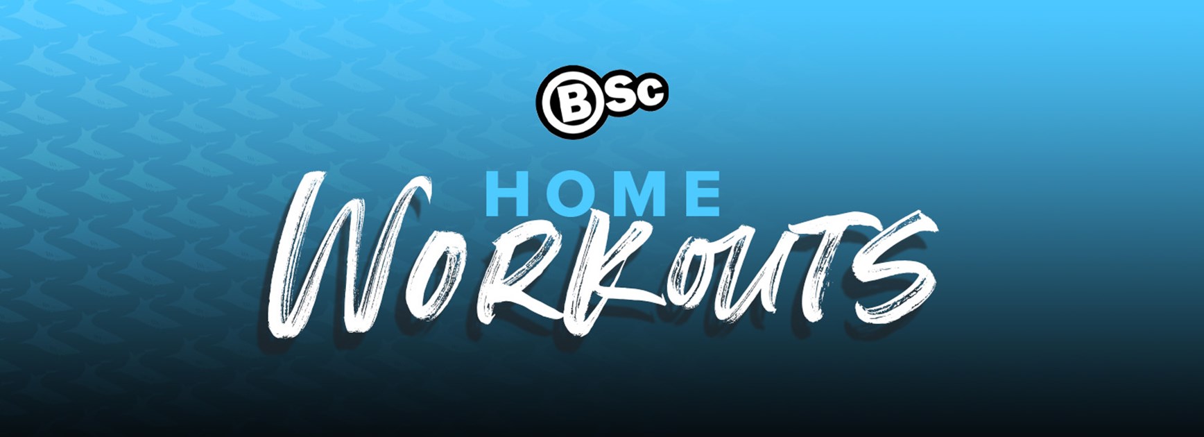 Home Workouts with Matt Jay