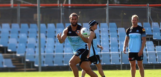 Rudolf keen to be a long-term Shark