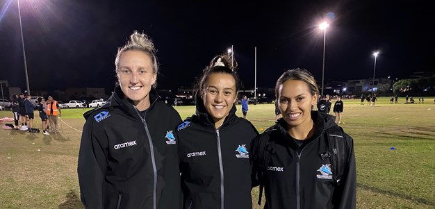 Senior Sharks to guide young talent