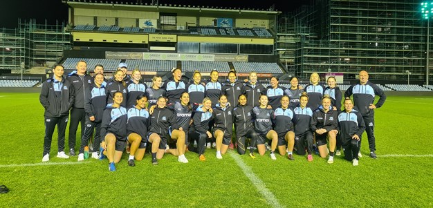Sharks look to tame the Tigers in HNWP Grand Final