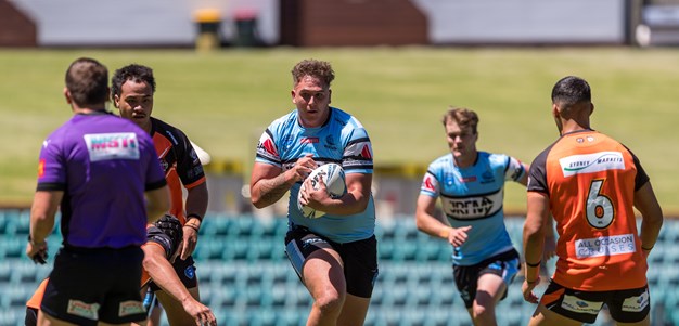 Young Sharks off to a winning start