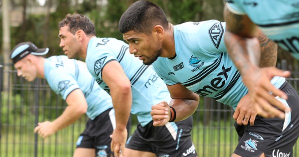 Sharks sharpening teeth ahead of trials | Sharks