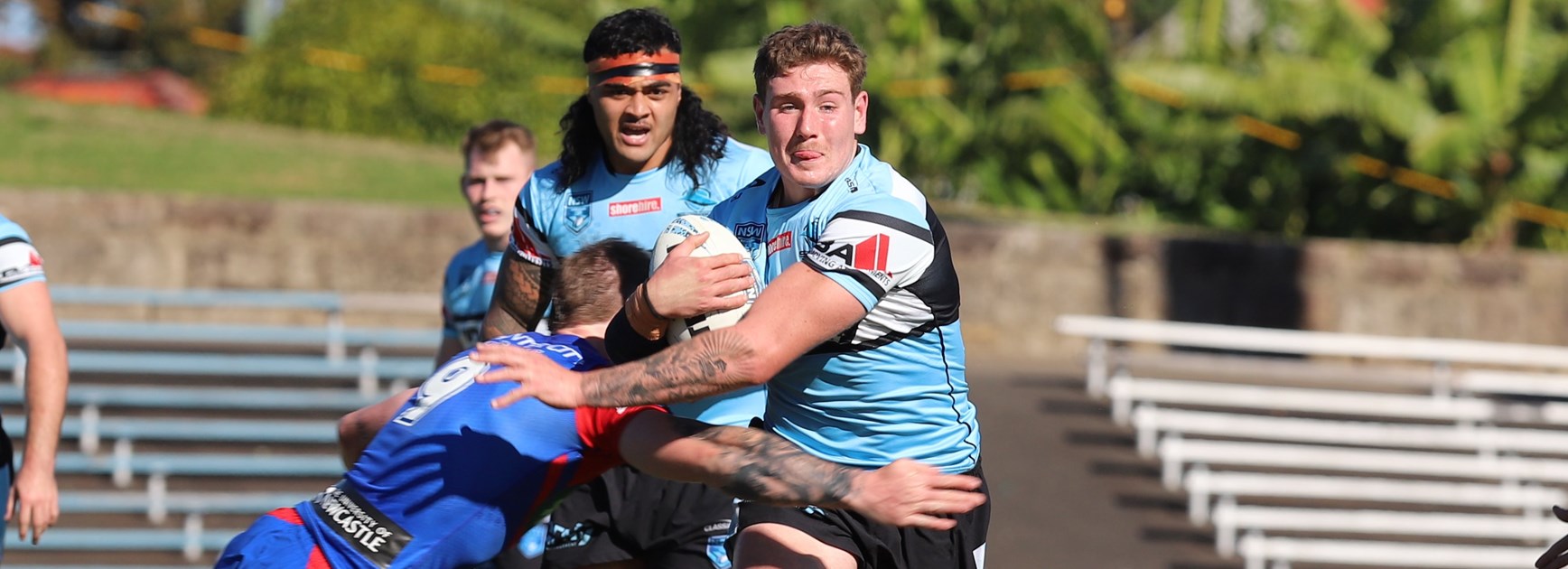 Flegg Sharks tough out a win over Knights