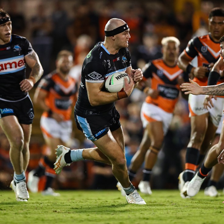 Sharks off the pace in Tigers loss