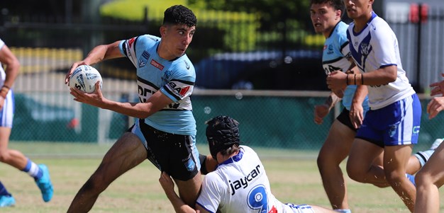 Junior Sharks defeated by Dogs