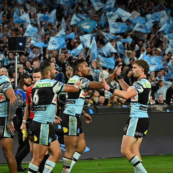 Brave Sharks bow out against Panthers