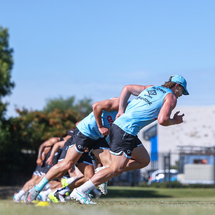 GALLERY: Sharks hard at work