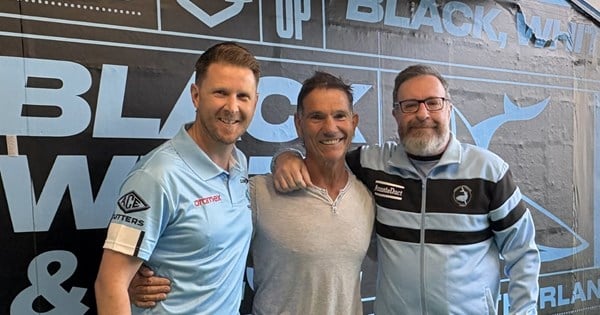 The Great Whites: Dan Stains | Sharks