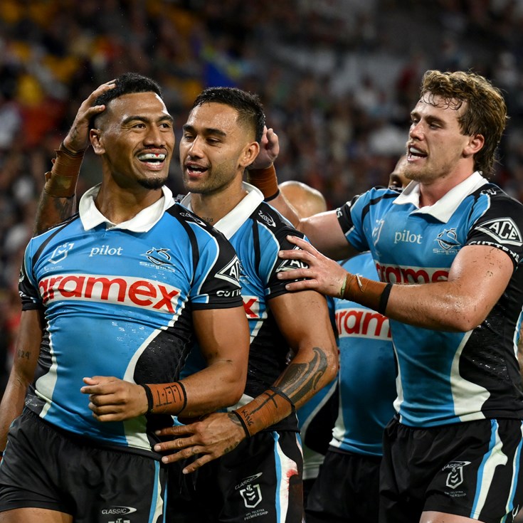 Dominant Sharks down the Dogs