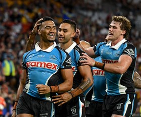 Dominant Sharks down the Dogs