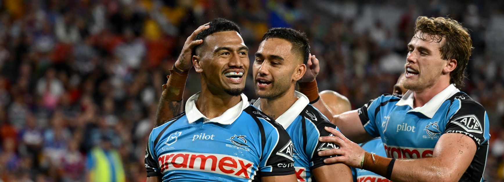 Dominant Sharks down the Dogs