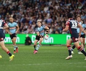Sharks Winning Streak Ends as Roosters Rally