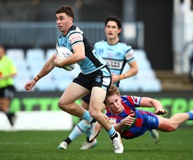 Disappointing loss for Flegg Sharks