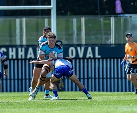 Flegg Sharks bow with Bulldogs loss