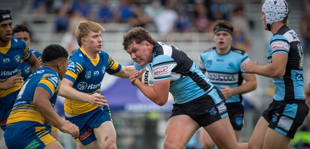 Sharks Junior Reps and Pathways – Inviting staff applications