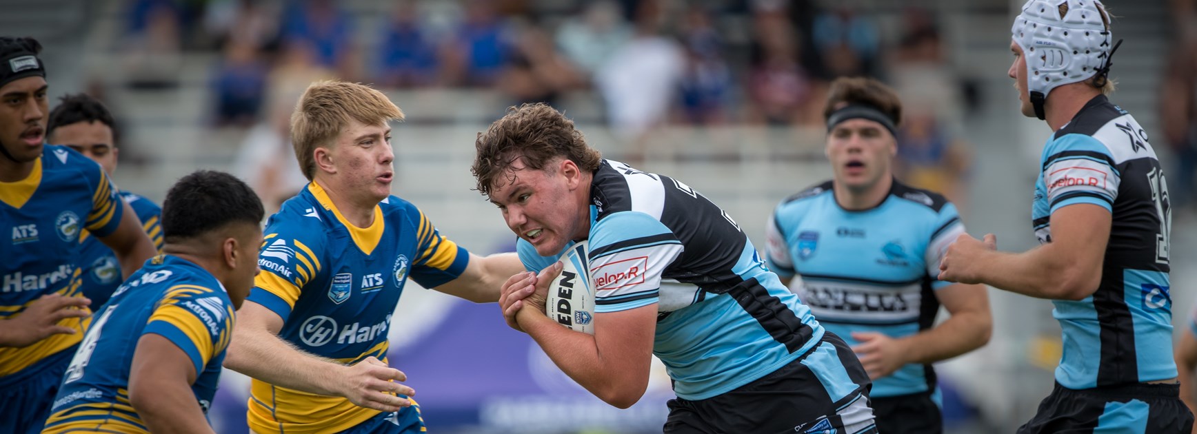 Sharks Junior Reps and Pathways – Inviting staff applications